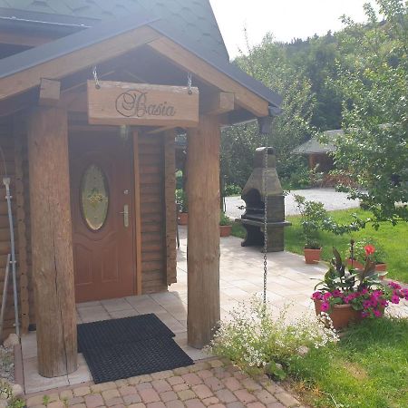 Sobieszow Apartament Basia Zielone Wzgorze -Willa Tosia Εξωτερικό φωτογραφία