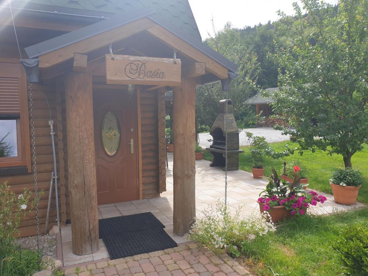 Sobieszow Apartament Basia Zielone Wzgorze -Willa Tosia Εξωτερικό φωτογραφία